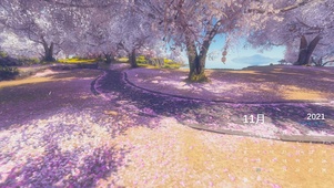 樱花道