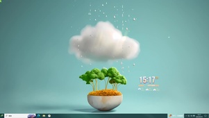 清新雨中盆栽