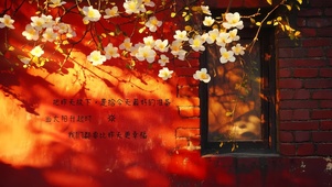 治愈花卉