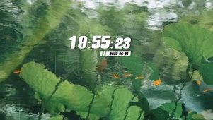 小荷才露尖尖角  壁纸