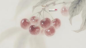 清新治愈樱桃