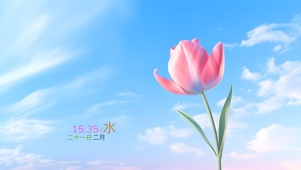 清新郁金香