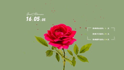 简约清新花草桌面壁纸