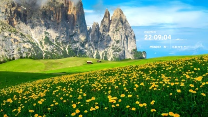 唯美清新治愈小雏菊