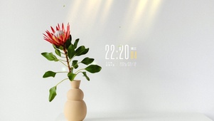 简约小清新北欧风