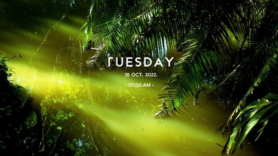 4k高清简约ins风格系列