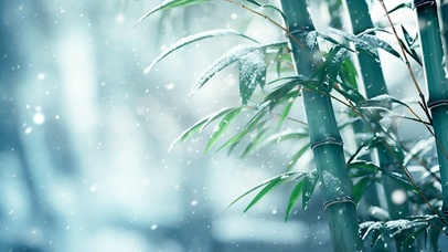 雪中翠竹