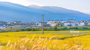 4唯美治愈乡村田园麦田