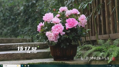 护眼花草树木桌面主题