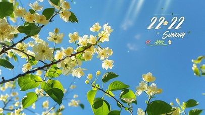 4k治愈蓝天风景