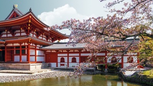 4K唯美治愈樱花古建筑风景