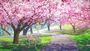 4k樱花树