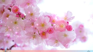 治愈系壁纸