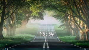 榕树路森林