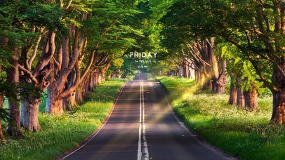 4K唯美绿色护眼森林公路