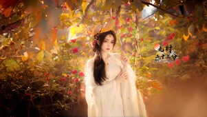 氛围美女