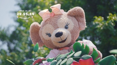 4k高清可爱萌系列