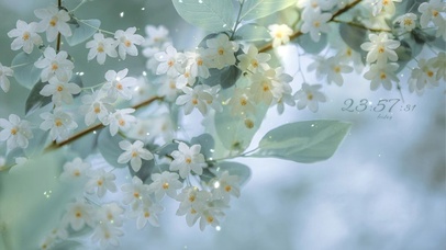 治愈唯美春意落花