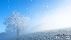 鹅毛大雪