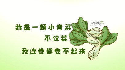 一颗小青菜又菜又不卷
