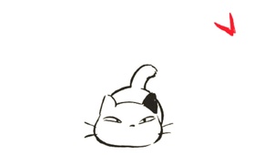 肥猫第二弹