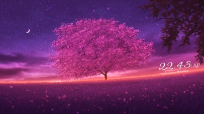 星空下的樱花树