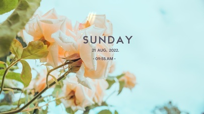 4k高清治愈小清新系列