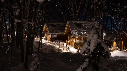 唯美治愈森林的夜