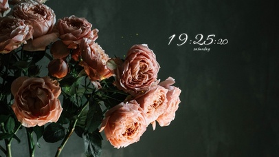 4k高清治愈冷美系列