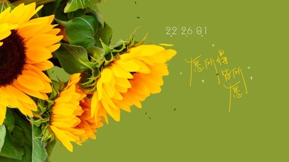 清新治愈向日葵桌面