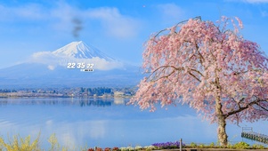 雪山樱花