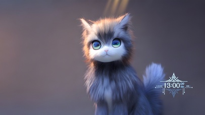 可爱的猫咪
