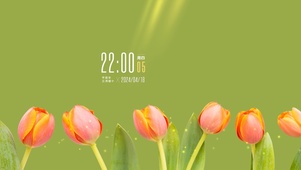 清新郁金香桌面