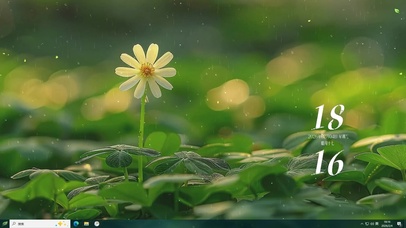 护眼小花朵雨天绿景桌面主题