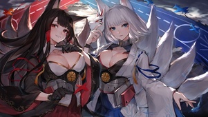 九尾双姬
