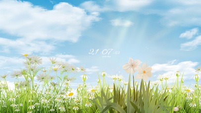 4K唯美春天小雏菊