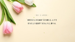 简约系郁金香壁纸