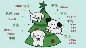 美好如期而至