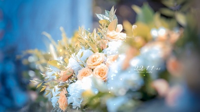 5K 唯美治愈鲜花