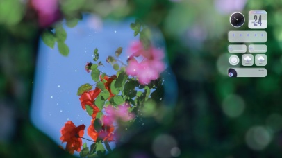 4K唯美治愈绿色护眼花朵