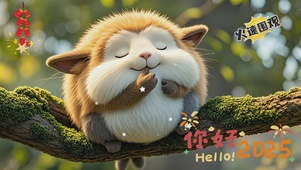 可爱的小猴子