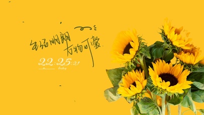 清新治愈向日葵桌面