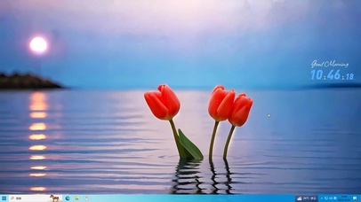 治愈郁金香桌面主题