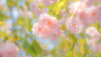 治愈清新花儿盛开