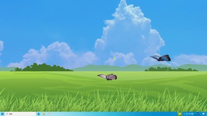 蓝天 草地和蝴蝶主题壁纸