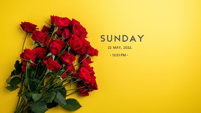 4K高清唯美玫瑰