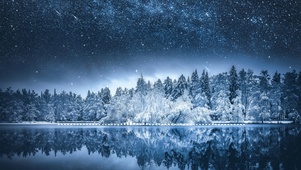 雪原