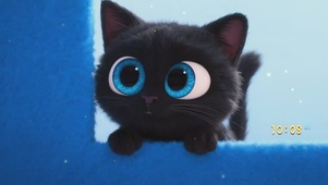 可爱小黑猫