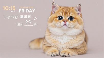 工作摸鱼必备！偷偷吸猫的治愈系