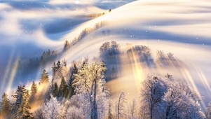 4K唯美治愈清晨森林雪景
